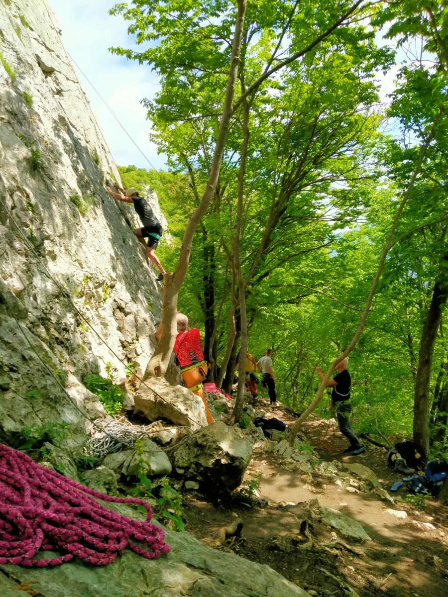 debolandia- (8)