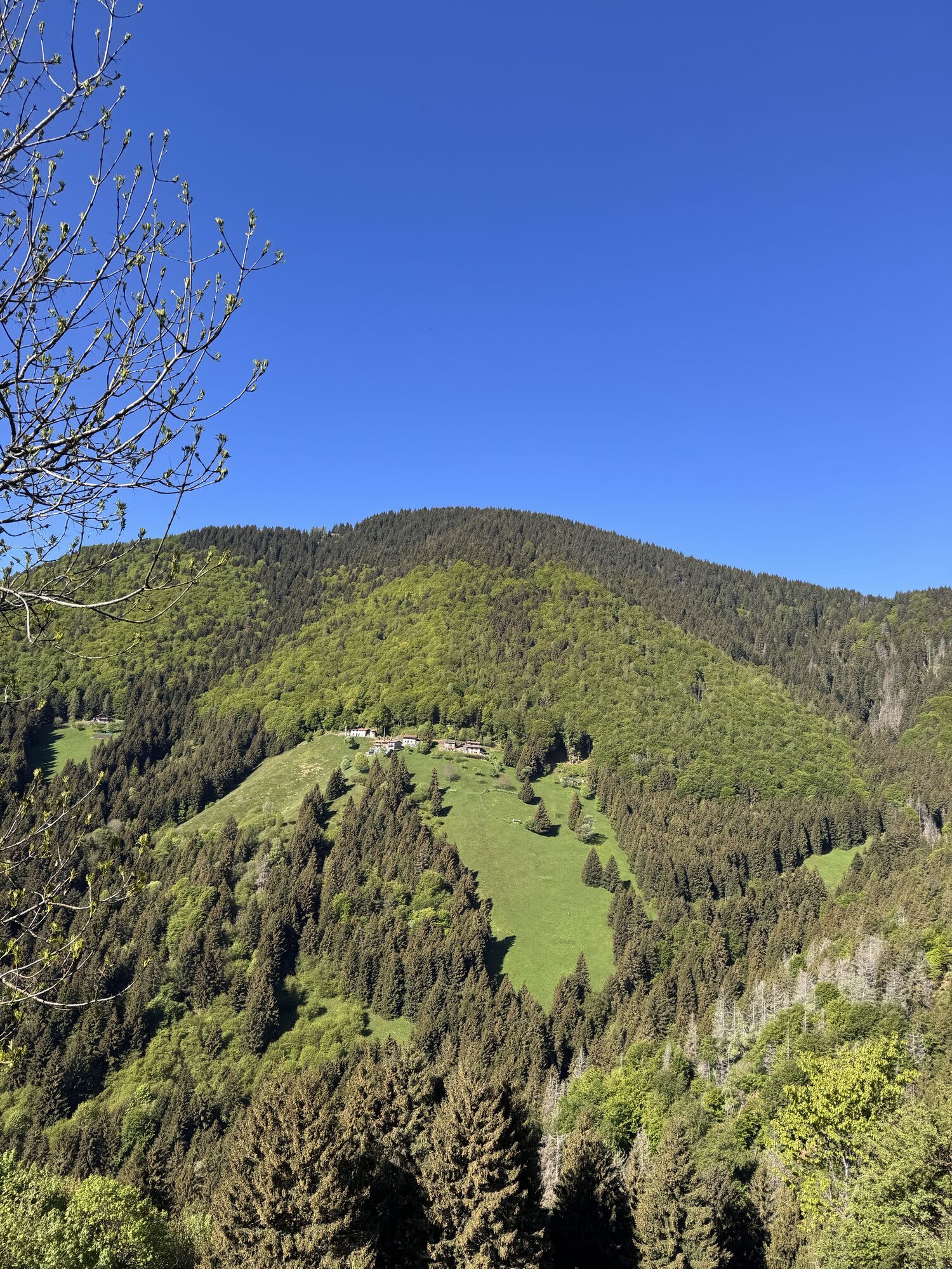 Monte Alto (1721 m)